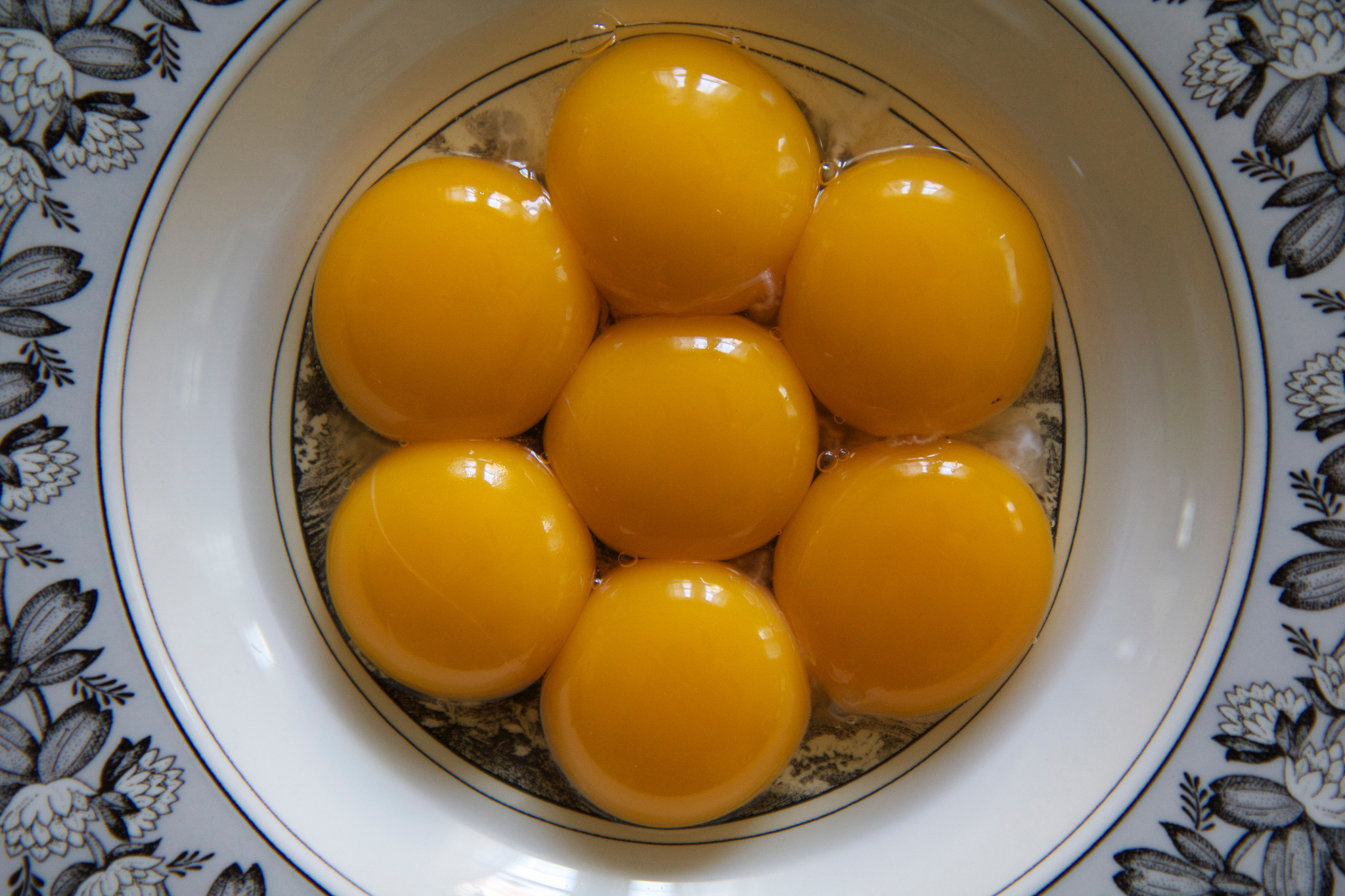 egg yolks